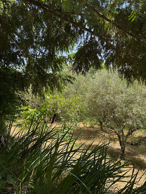 garten_ornina_2